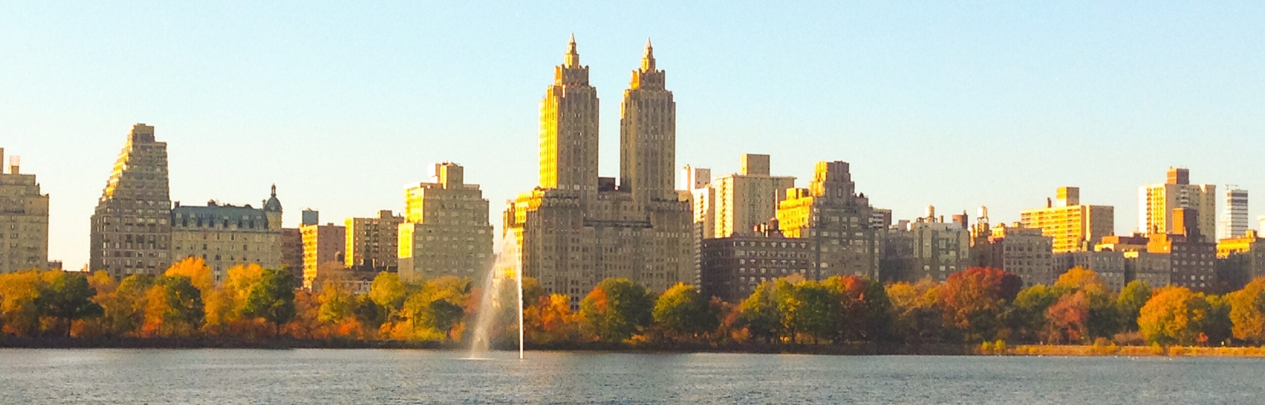 A view of the skyline from across the water.