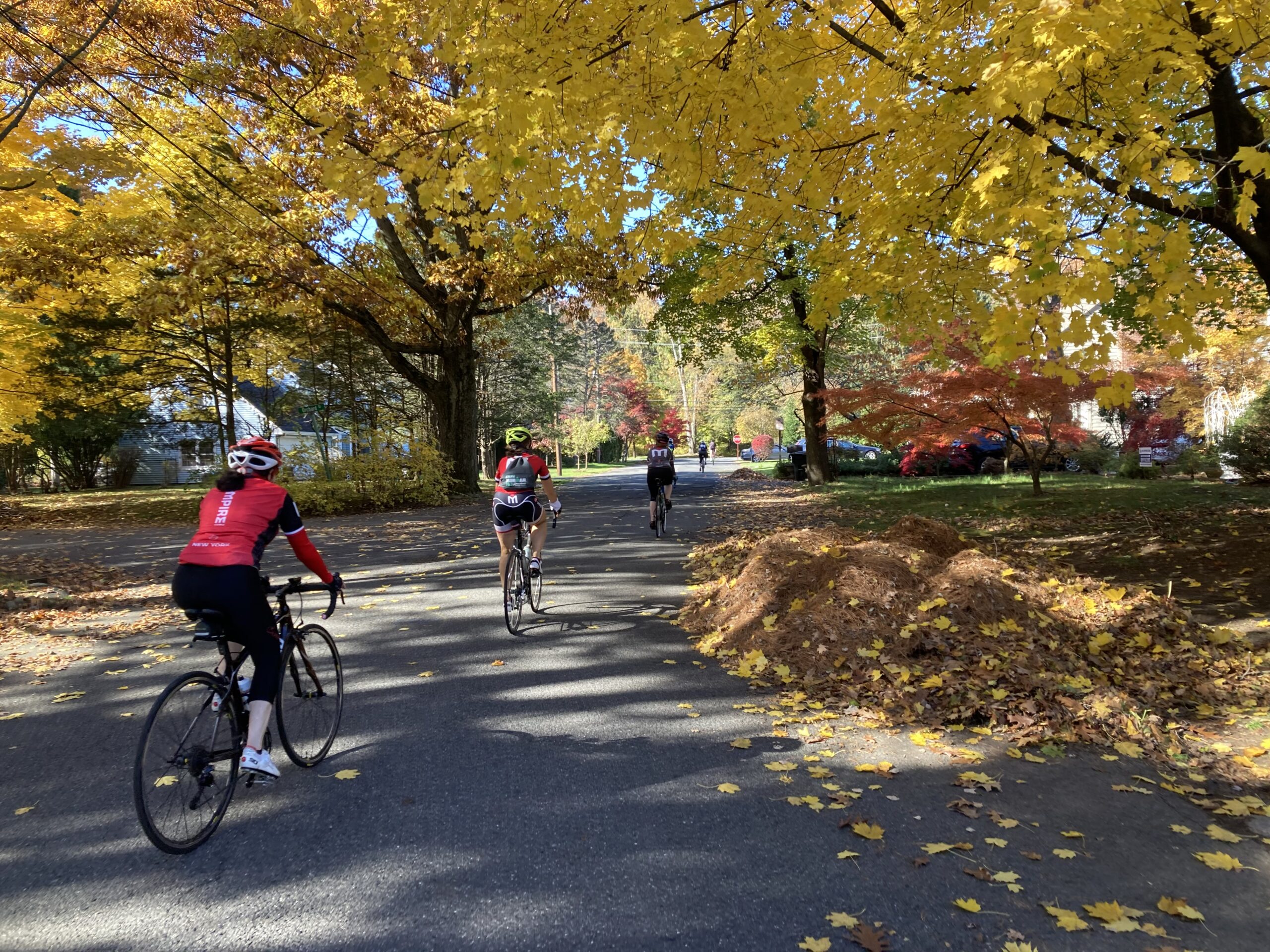 A group of people riding bikes on the side of a road.