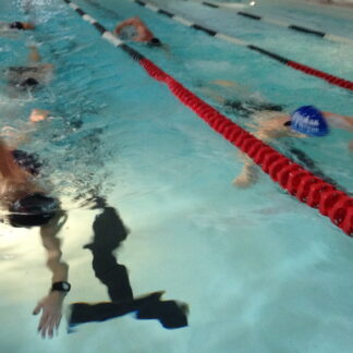 A group of people swimming in the pool.