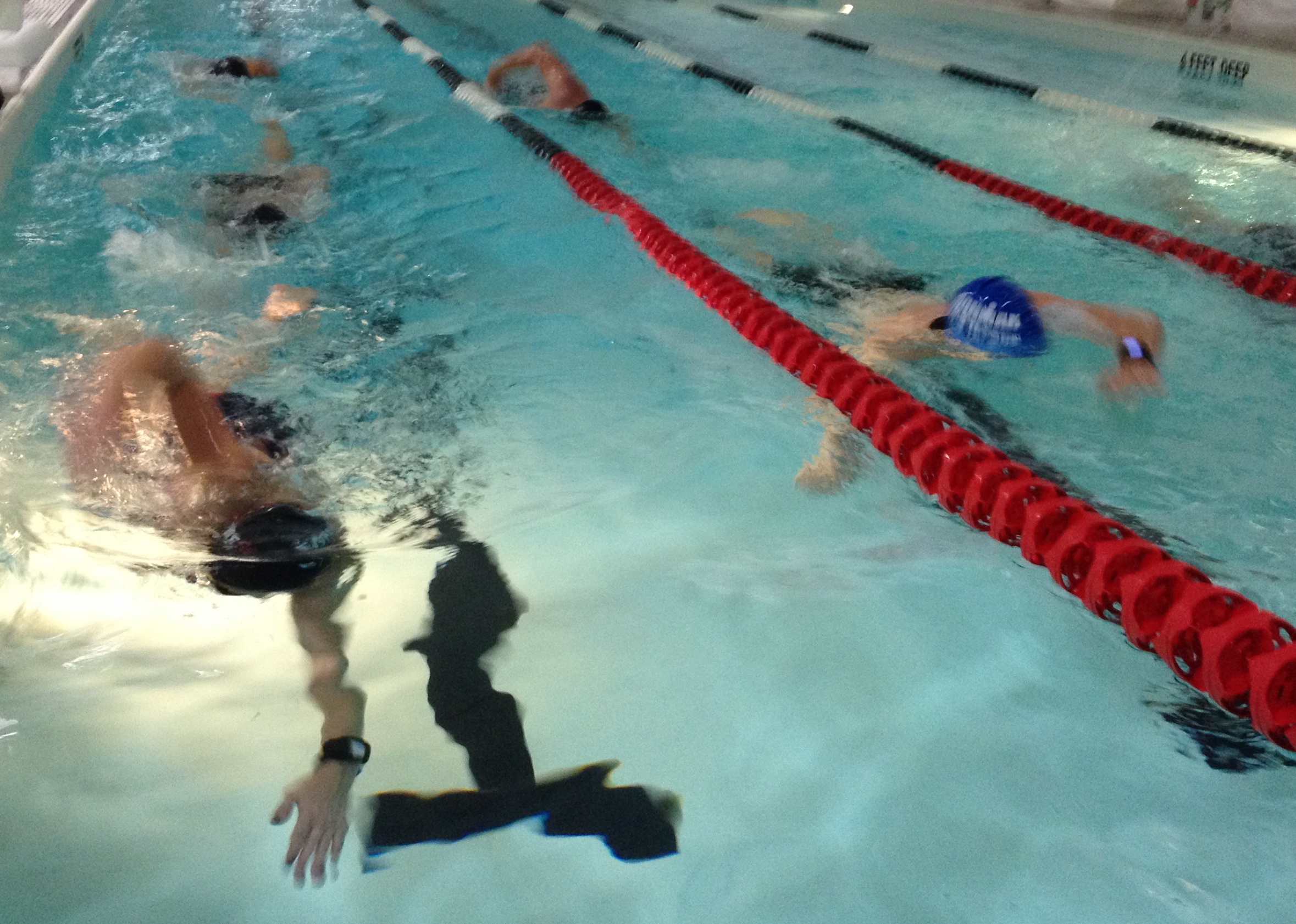 A group of people swimming in the pool.